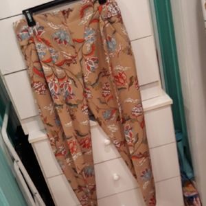 Ladies pants